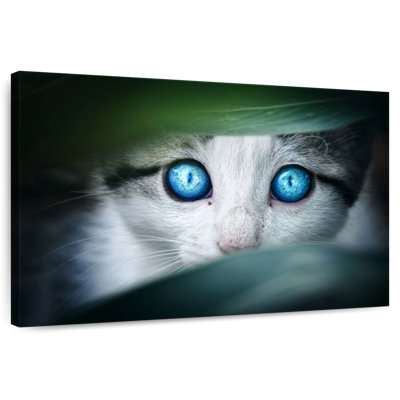 Brampt Crystal Eyed Cat