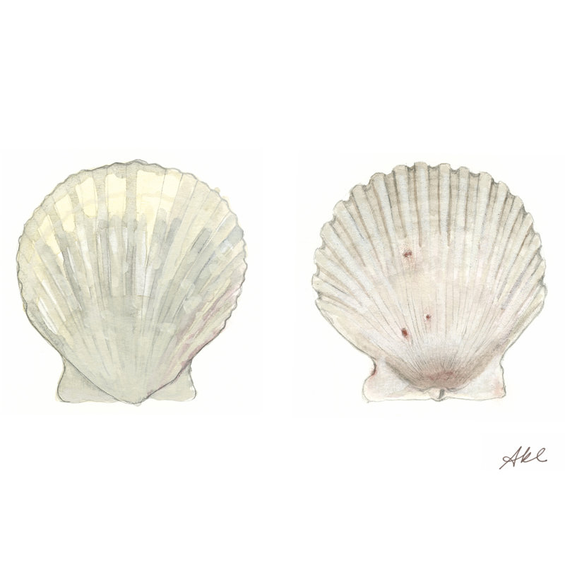 Tidal Treasure IV by Alicia Ludwig - Wrapped Canvas Art Prints, 30cm H x 46cm W