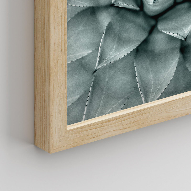 «Desert Succulent Green Flower Photographie Modern Art Farmhouse / Country Minimalisme Multicolor Nature» sur, Naturel