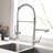 Fapully Pull Down Kitchen Faucet