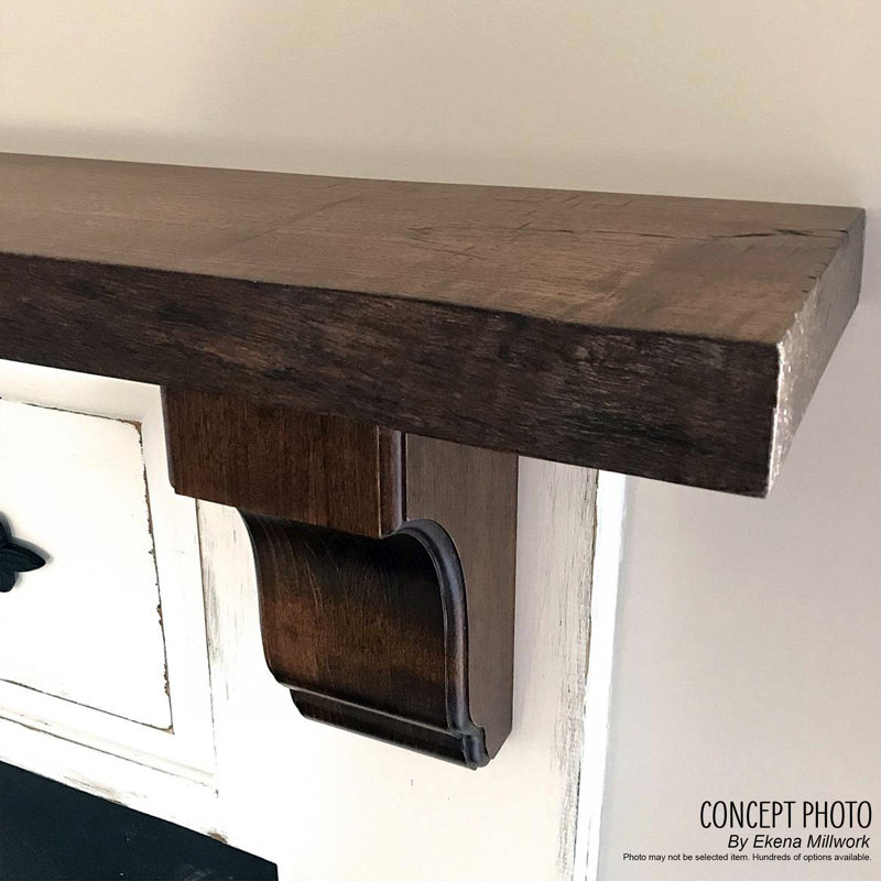 Medium Acanthus in Shell Corbel, Alder