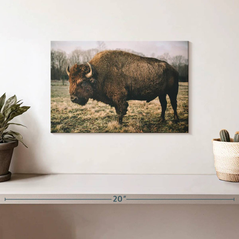 Solitary Bison IV, 8" H x 12" W