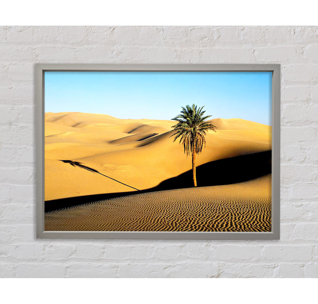 Desert Palmtree - Drucken