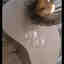 Photos des clients 1 de 1