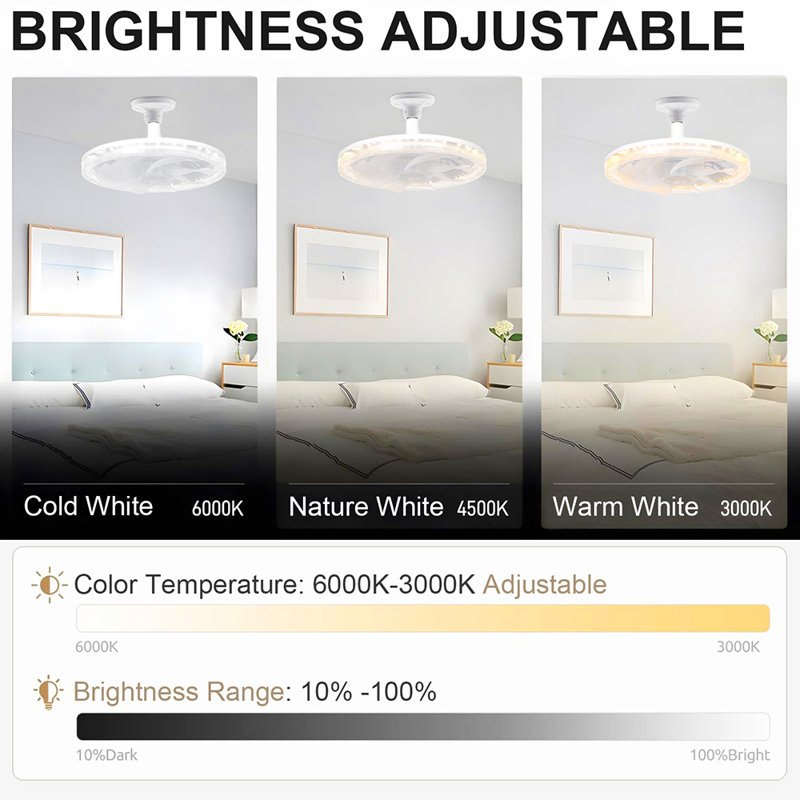 Cullie 11'' Ceiling Fan with LED Lights