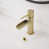Brushed Gold is out of stock selected