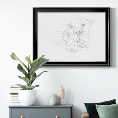 Lazy Dog I