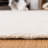 Hafiz Hand Loomed Wool/Jute/Cotton Geometric Rug in Beige-1460588546