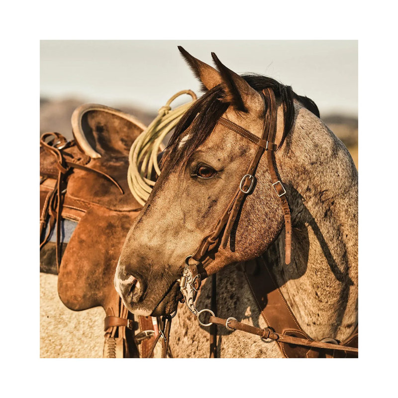 On The Watch by Rhonda Thompson - Wrapped Canvas Print