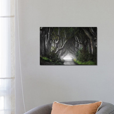 Dark Hedges by Nicola Molteni - Wrapped Canvas Gallery-Wrapped Canvas Giclée