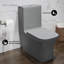 Toilette carrée une pièce à double chasse Concorde en gris mat 1,1 / 1,6 gallon Concorde-1135972608-1125190072