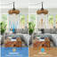 Ventilateur de plafond extérieur imperméable avec lumières et télécommande