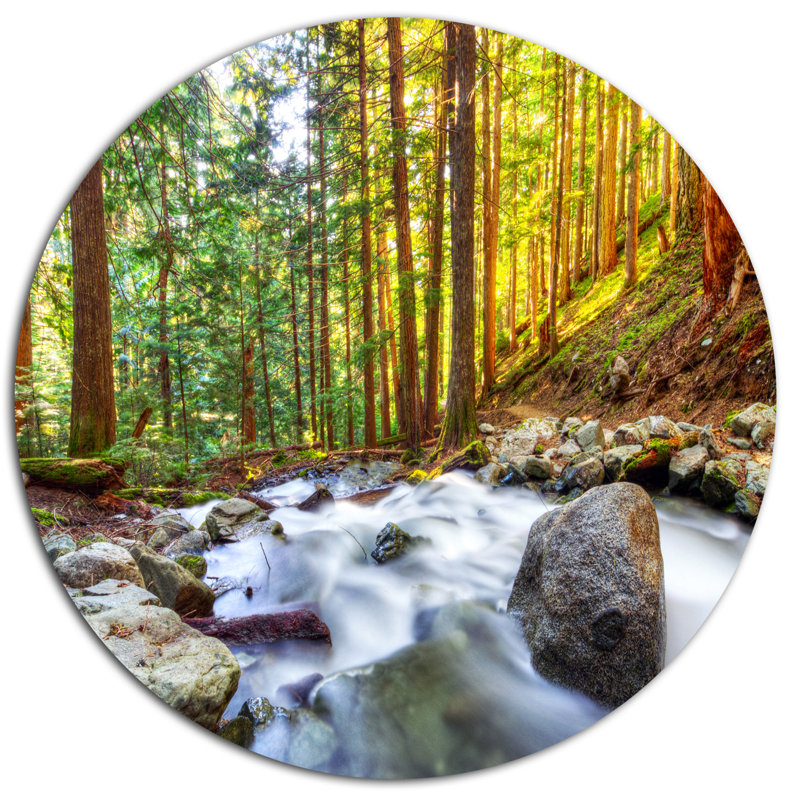 «Creek Flowing Through Forest», reproduction de photo sur métal, H 36 po x l 36 po