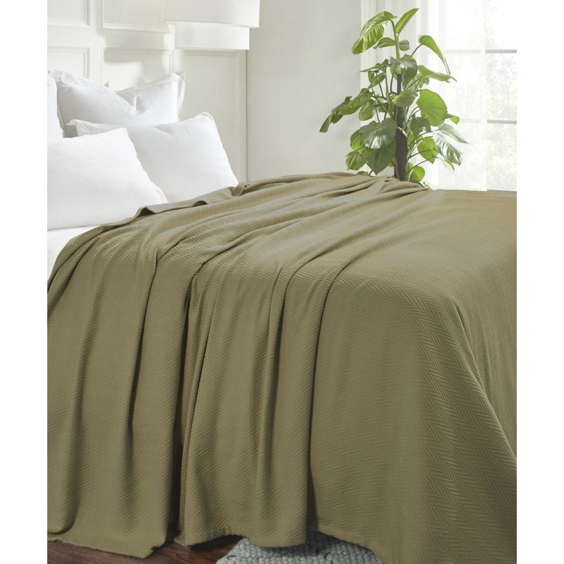 Jareth All-Season Cotton Zig-Zag Throw Blanket, Sage, Throw