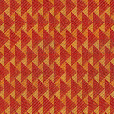 Indoor Rug
