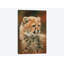 « guépard cub », impression sur toile-33109196-72397245-72397253