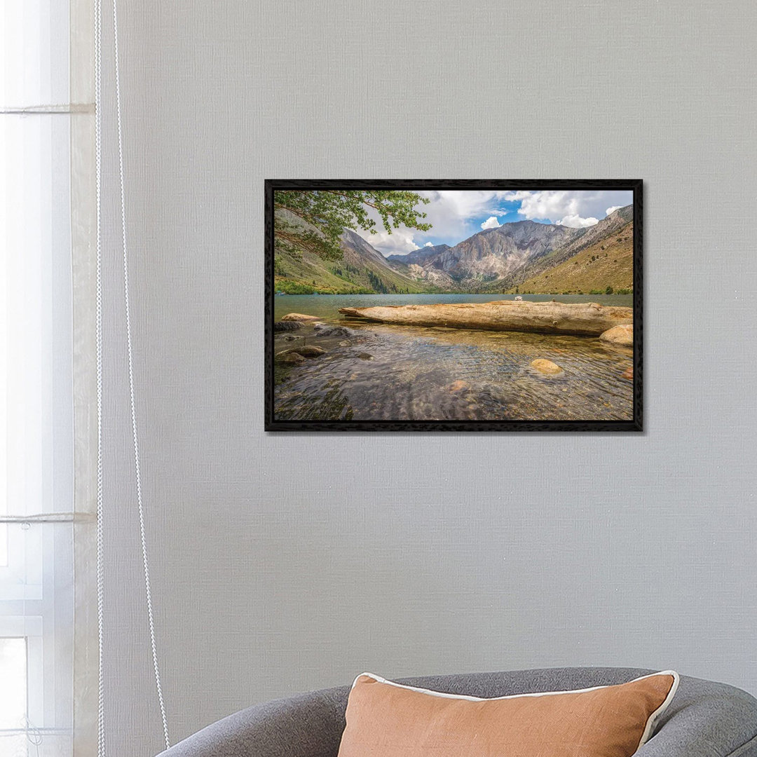 Gefallener Baum am Convict Lake von Joseph S. Giacalone - Galerie-verpackte Leinwand Giclée