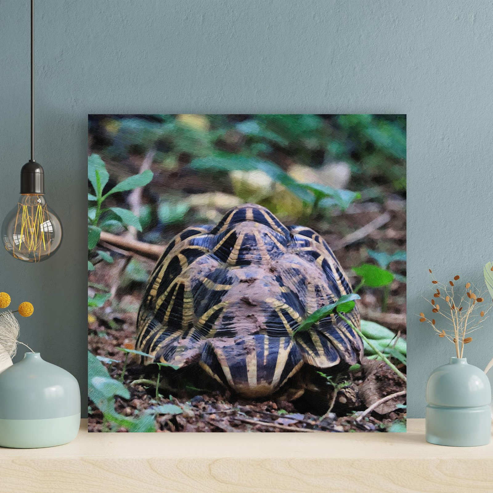 Bayou Breeze Black Turtle With Weird Shell - 1 Piece Square Graphic Art ...