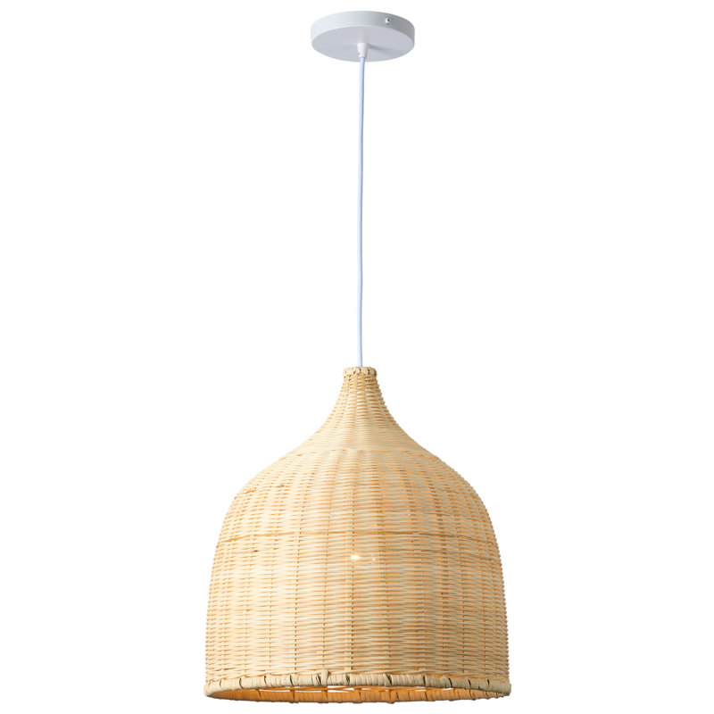 Luminaire suspendu moderne à 1 lumière Adailyn