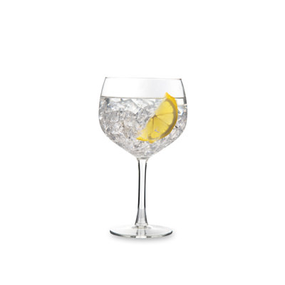 Mixology 650ml Gin Balloon Glass Set