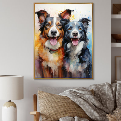 " Border Collie Brilliance II "