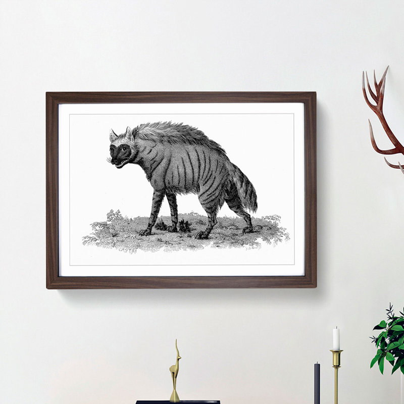 Striped Hyena in Black & White by George Shaw - Picture Frame Art Print on MDF, 27cm H x 36cm W x 2cm D, Walnut Framed