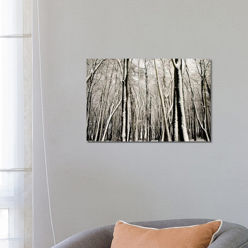 Snow Covered Trees by Alyson Fennell - Wrapped Canvas Print, 66.04 cm H x 45.72 cm W x 3.175 cm D
