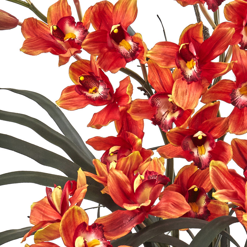 Burgundy Cymbidium Orchid and Succulent Centerpiece with Black Vase