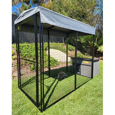 Combinaison robuste chenil / chenil et grande niche pour chien Ranch