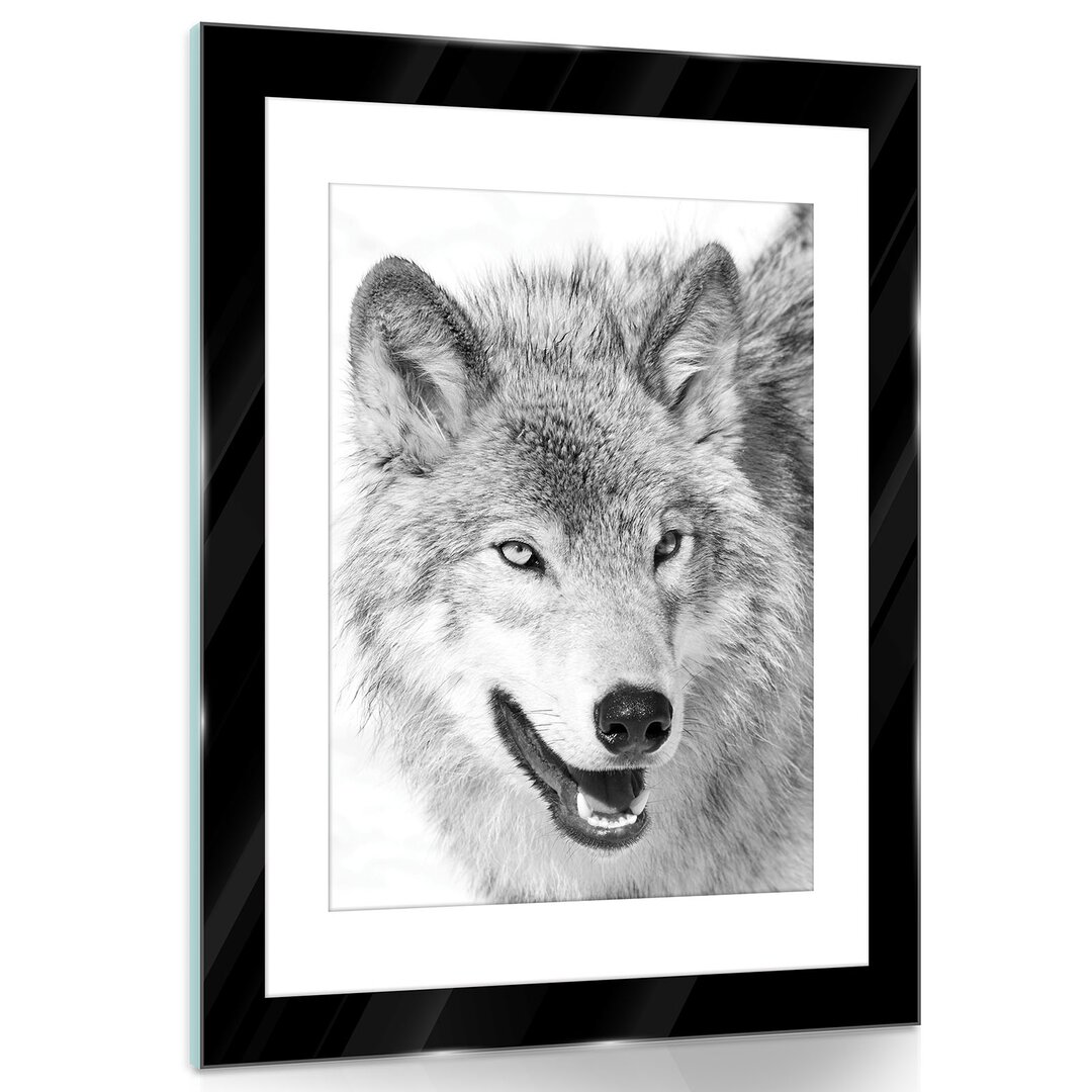 Glasbild Wolf