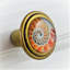 Signature Shell Nautilus rose avec poignée laiton (ensemble de 4) 