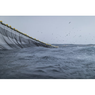 Rough Sea by Piola666