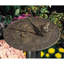 Frog Sundial-2141180067