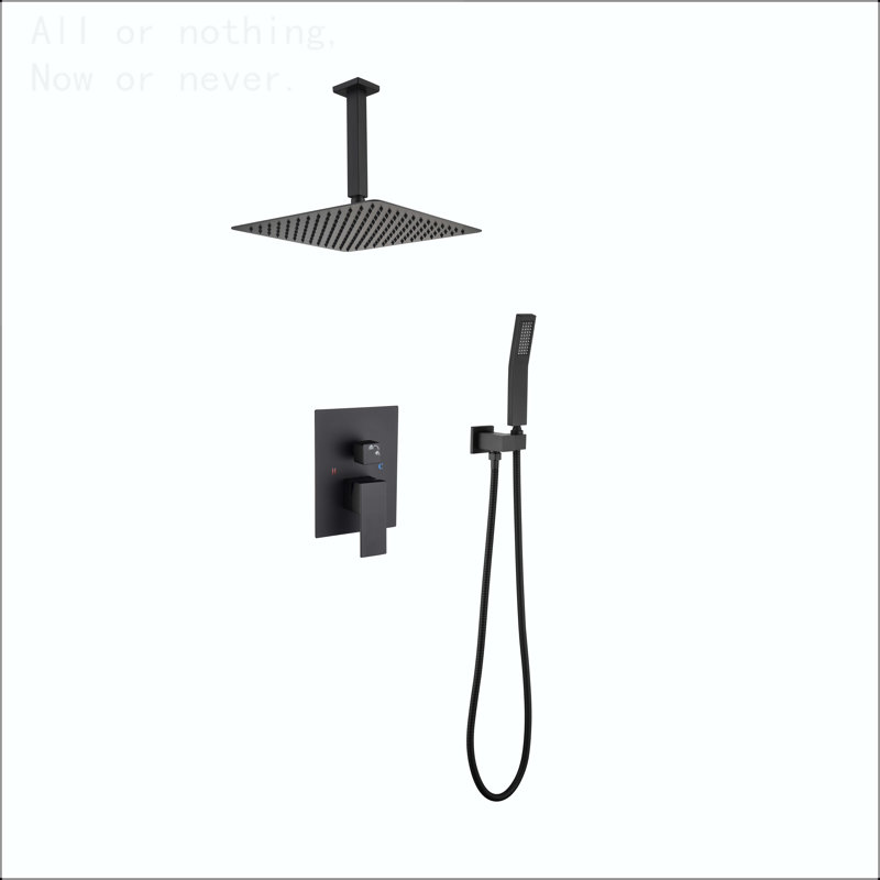 Ceiling Mounted Rain Shower System with Handheld, Matte Black