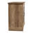 Chessani 29.3" H 2-Door Mirrored Wood Accent Cabinet-37833080