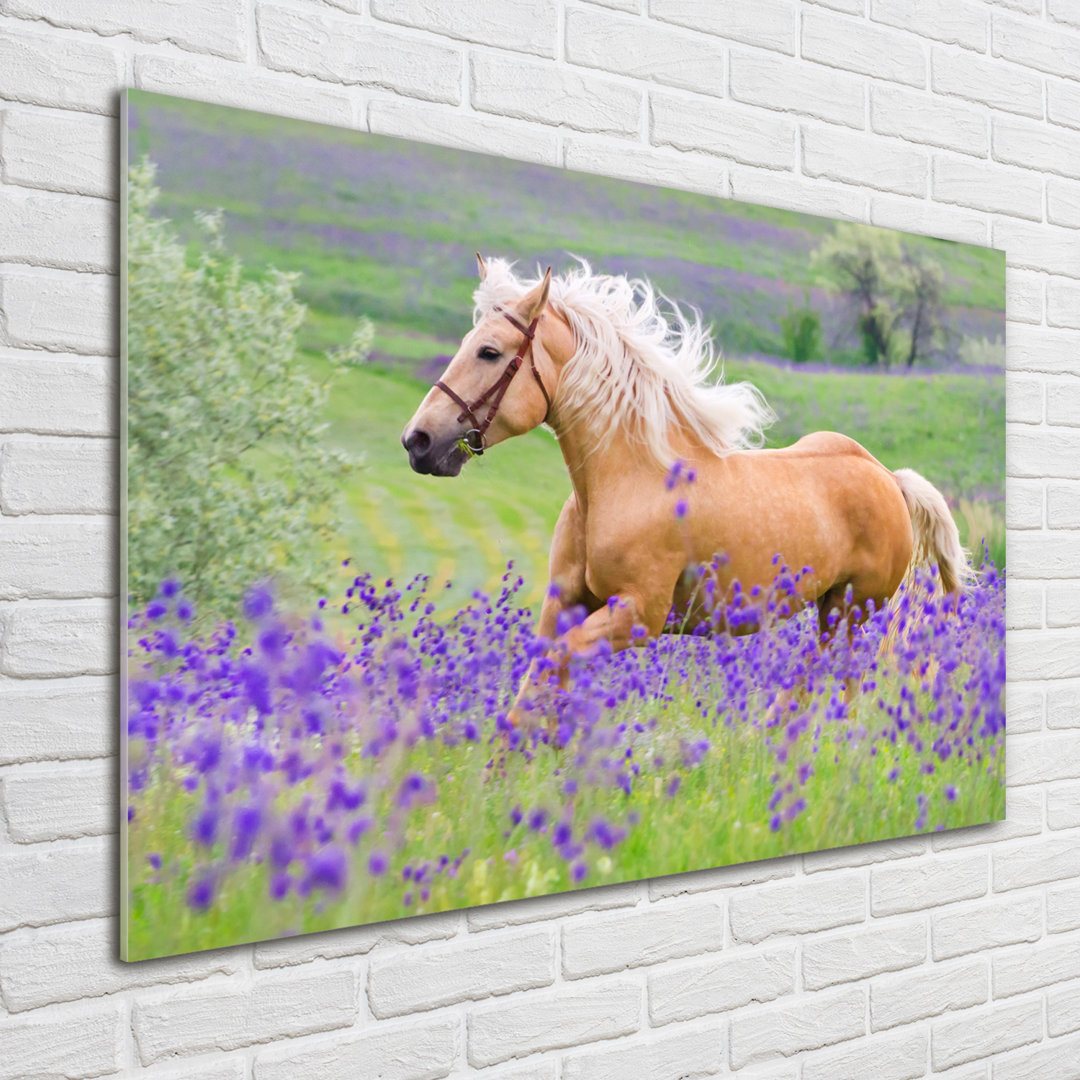 Glasbild Horse On The Lavender Field