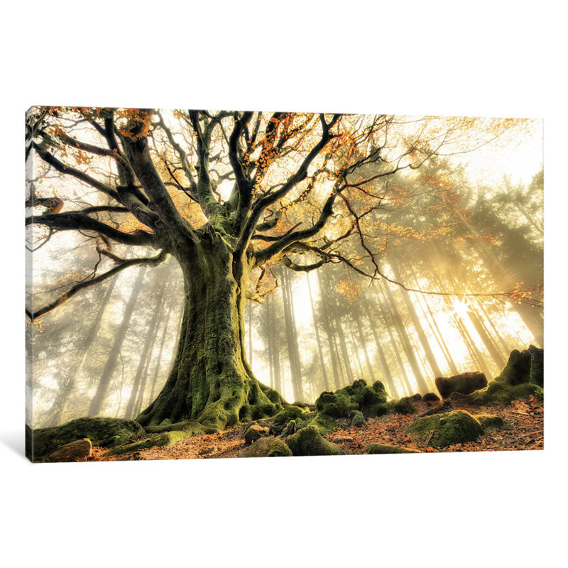Estampe numérique sur toile « November » par Christophe Kiciak, H 40 po x l 60 po x P 1,5 po, Pas de tapis, Toile tendue