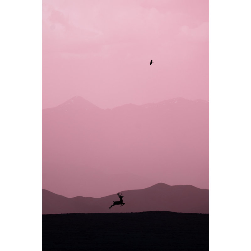 Wrapped Canvas Print, 50.8 cm H x 76.2 cm W