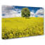 Chestnut Tree In Spring - Wrapped Canvas-55370426