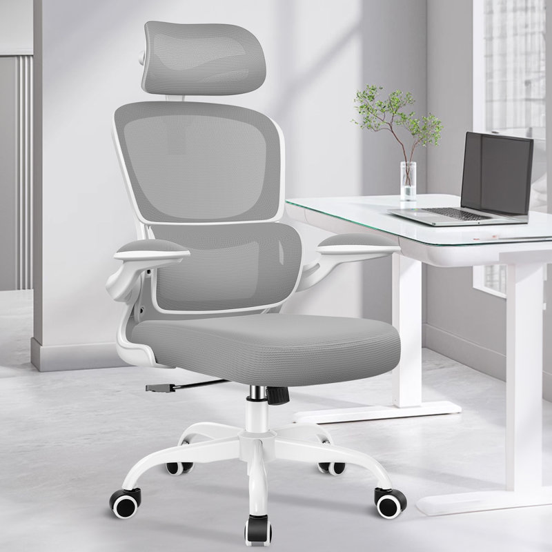Lidwien Ergonomic Breathable Mesh Office Chair with Adjustable Headrest and Flip-Up Arms, White/LightGray