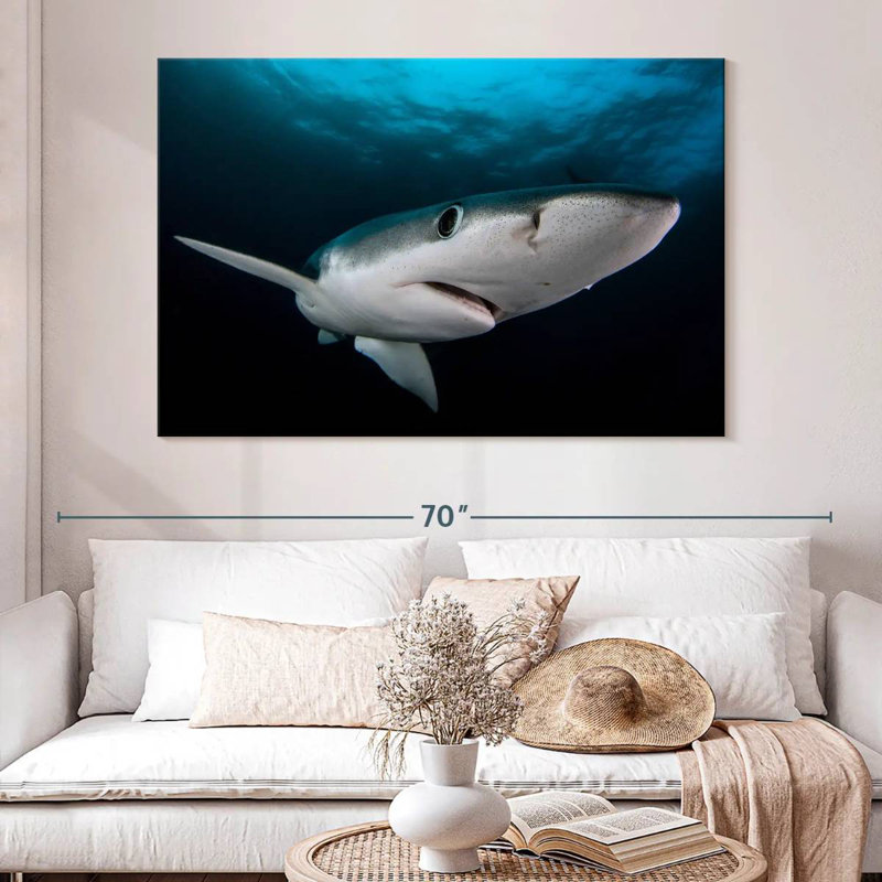 Brampt Underwater Blue Shark, 34" H x 51" W