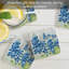 Ensemble de sous-verres Lark Manor ™ Bonnet Field