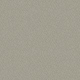Boutique Metallic Webbing Wallpaper Roll