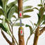 60 po. Olive artificielle 60 po