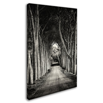 Wrapped Canvas Wall Art - Sandra 'Path' Wall Art for Living Room, Bedroom, or Office Décor - 30x47