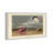 Cayenne Tern par Robert Havell - Impression sur toile-63605841-63605842