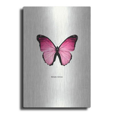 " Pink Butterfly "