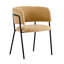 Ensemble de 2 chaises rembourrées avec accoudoirs