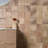Vario 5.11 In. X 5.11 In. Textured Ceramic Wall Tile (6.09 Sq. Ft. / Case)-105536744