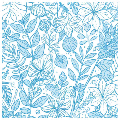 Coussins Blue Botanical Line Art